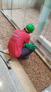 WhatsApp Image 2025-12-30 at 2.13.25 PM (3)